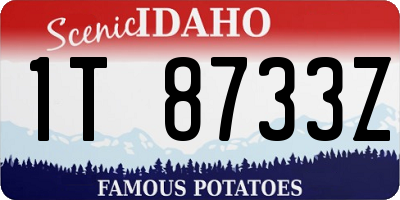 ID license plate 1T8733Z