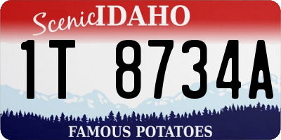 ID license plate 1T8734A