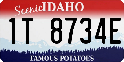 ID license plate 1T8734E