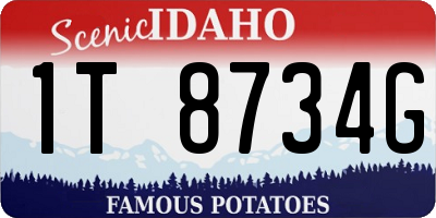 ID license plate 1T8734G