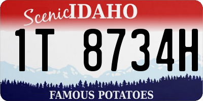 ID license plate 1T8734H