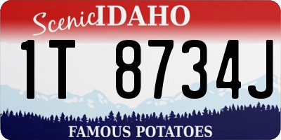 ID license plate 1T8734J