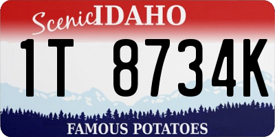 ID license plate 1T8734K