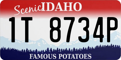 ID license plate 1T8734P