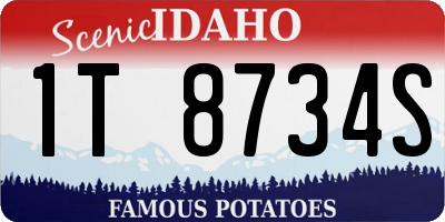 ID license plate 1T8734S