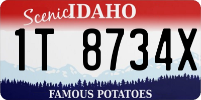 ID license plate 1T8734X