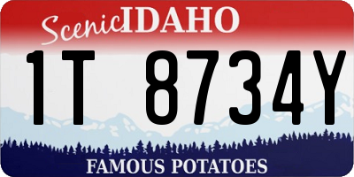 ID license plate 1T8734Y