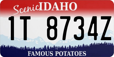 ID license plate 1T8734Z