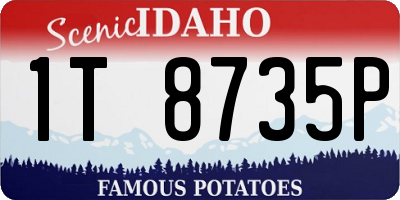 ID license plate 1T8735P