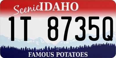 ID license plate 1T8735Q