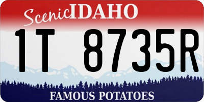 ID license plate 1T8735R