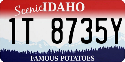 ID license plate 1T8735Y