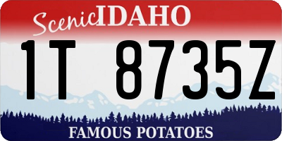 ID license plate 1T8735Z
