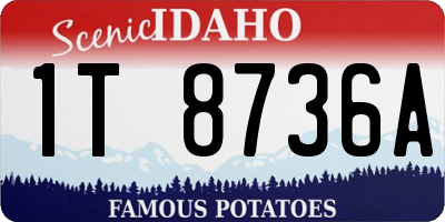 ID license plate 1T8736A