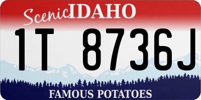 ID license plate 1T8736J