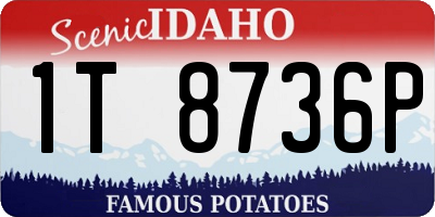 ID license plate 1T8736P