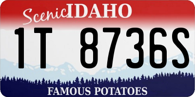 ID license plate 1T8736S
