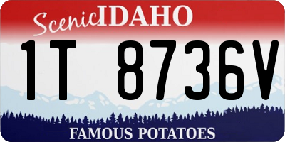 ID license plate 1T8736V
