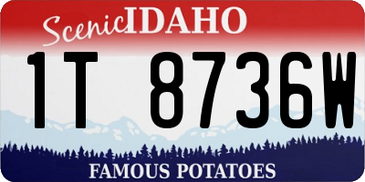 ID license plate 1T8736W