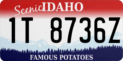 ID license plate 1T8736Z