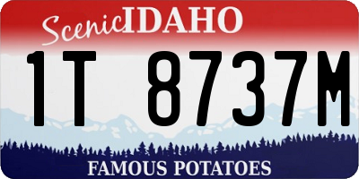 ID license plate 1T8737M