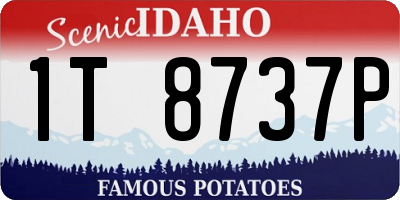ID license plate 1T8737P