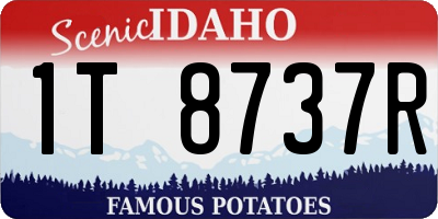 ID license plate 1T8737R