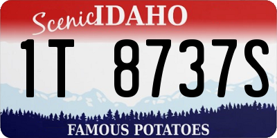 ID license plate 1T8737S