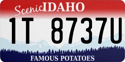 ID license plate 1T8737U