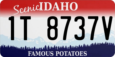 ID license plate 1T8737V