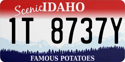 ID license plate 1T8737Y