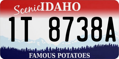 ID license plate 1T8738A