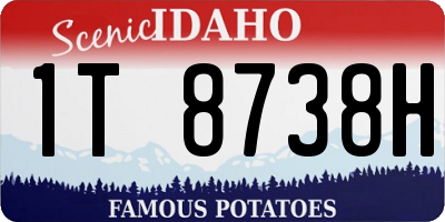 ID license plate 1T8738H