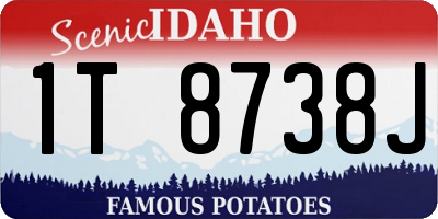 ID license plate 1T8738J