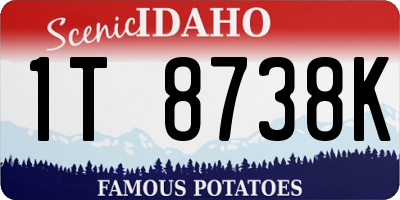 ID license plate 1T8738K