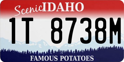 ID license plate 1T8738M