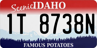 ID license plate 1T8738N