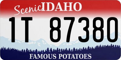 ID license plate 1T8738O