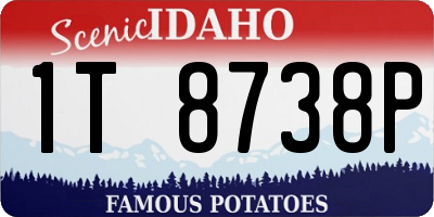 ID license plate 1T8738P