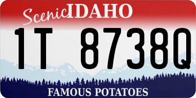 ID license plate 1T8738Q
