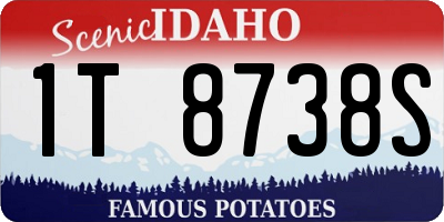 ID license plate 1T8738S