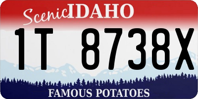 ID license plate 1T8738X