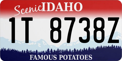 ID license plate 1T8738Z
