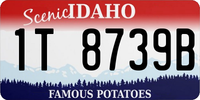 ID license plate 1T8739B