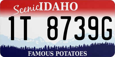 ID license plate 1T8739G