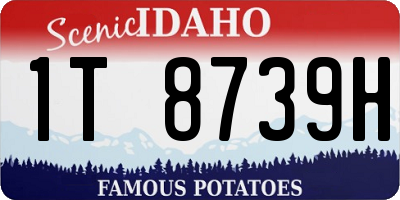 ID license plate 1T8739H