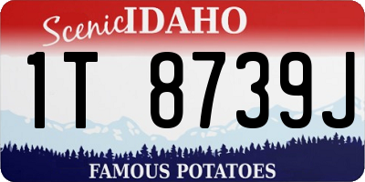 ID license plate 1T8739J