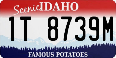 ID license plate 1T8739M