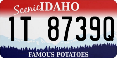 ID license plate 1T8739Q