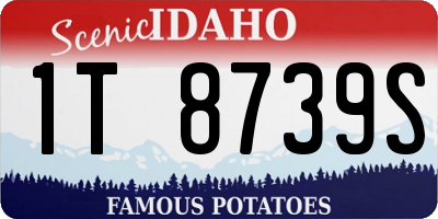ID license plate 1T8739S